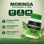 Ruchi Veda Moringa Capsules (60 Count) | Dietary Supplement