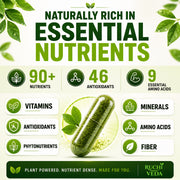 Ruchi Veda Moringa Capsules 1100mg Per Serving — Moringa Oleifera Supplement for Clean Natural Energy, Focus & Daily Wellness - Plant Based, Non GMO, Lab Tested Vegan Capsules - 60 Count