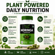 Ruchi Veda Moringa Capsules 1100mg Per Serving — Moringa Oleifera Supplement for Clean Natural Energy, Focus & Daily Wellness - Plant Based, Non GMO, Lab Tested Vegan Capsules - 60 Count