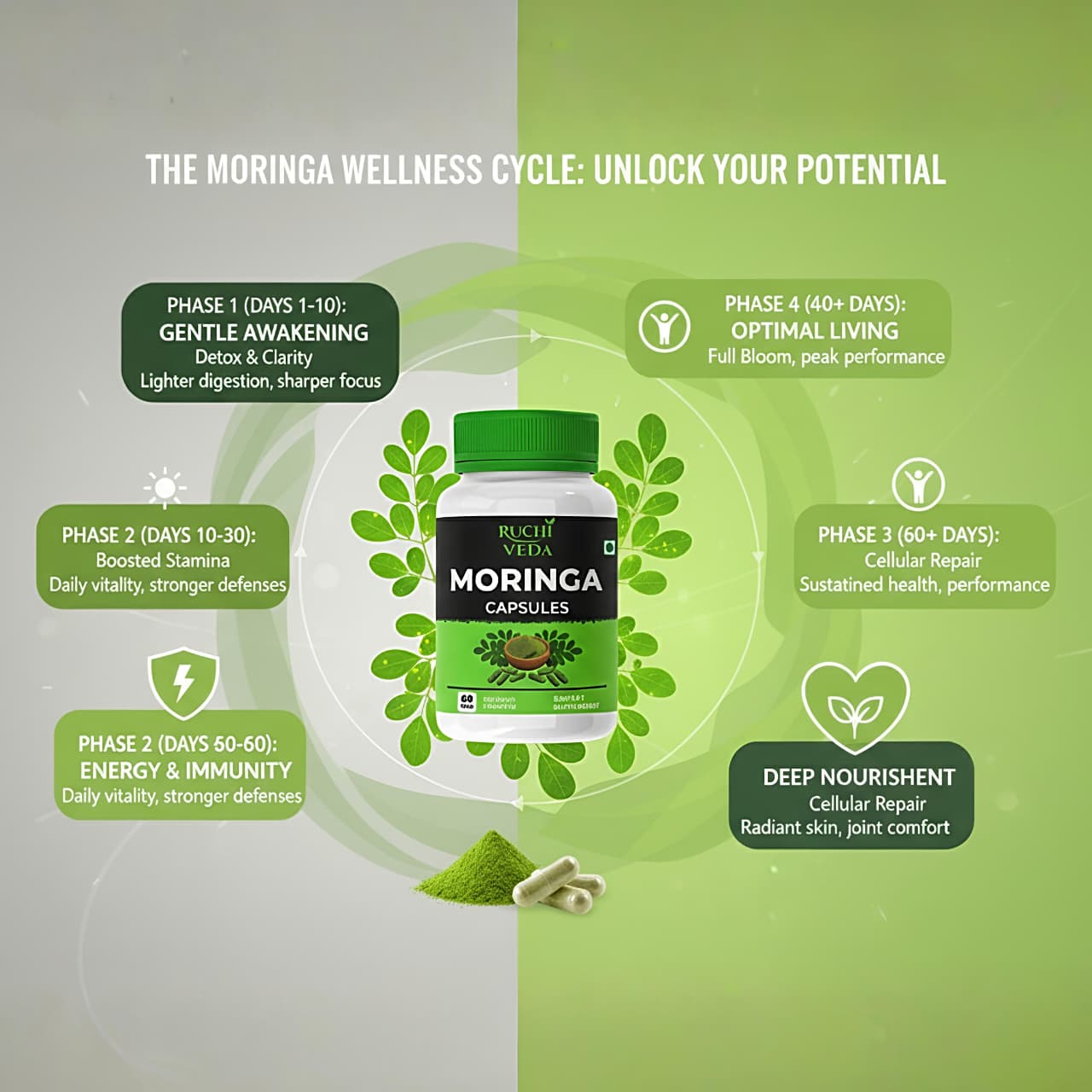 Ruchi Veda Moringa Capsules (60 Count) | Dietary Supplement