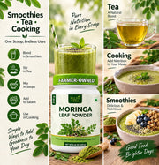Ruchi Veda Farmer-Owned Moringa Leaf Powder, 8.46 oz — Sun-Dried, Vegan Superfood, Plant-Based, Non-GMO